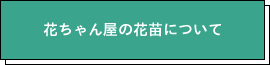 花ちゃん屋の花苗について