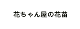 花ちゃん屋の花苗